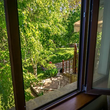 Huge Luxury In The Forest