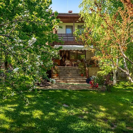 Huge Luxury In The Forest Villa *