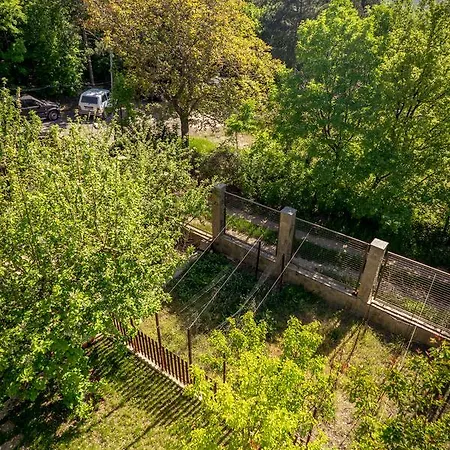 Villa Huge Luxury In The Forest