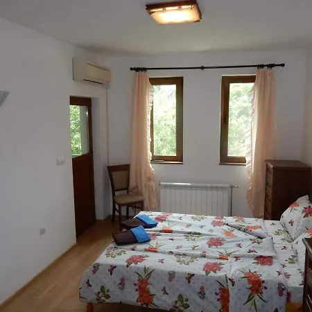 Huge Luxury In The Forest