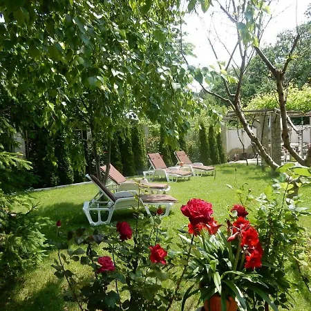 Huge Luxury In The Forest Villa