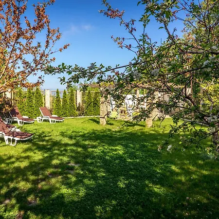 Huge Luxury In The Forest Villa Varna